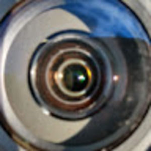 Meet your Posher, Ella